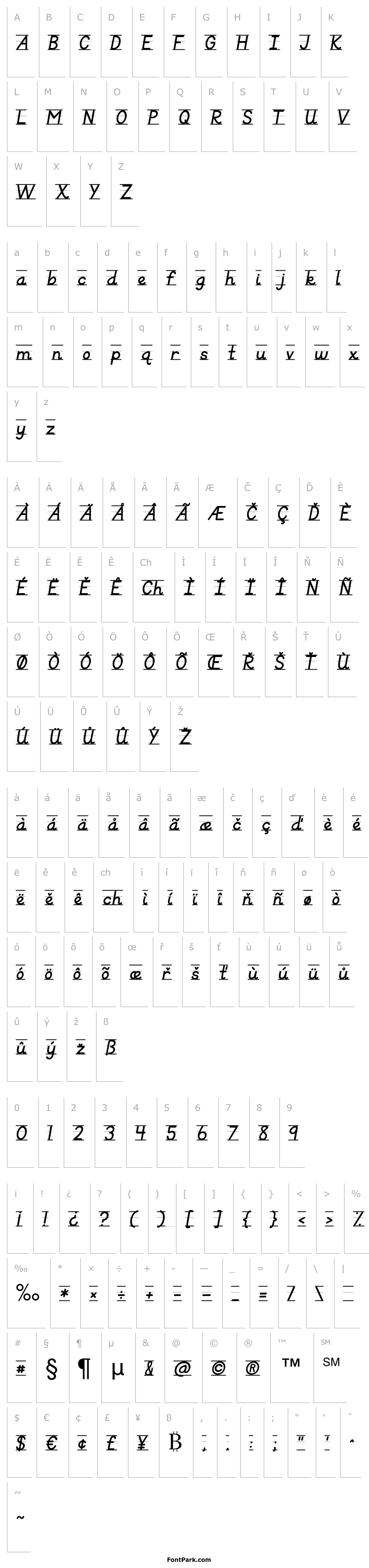 Přehled KG Primary Italics Lined